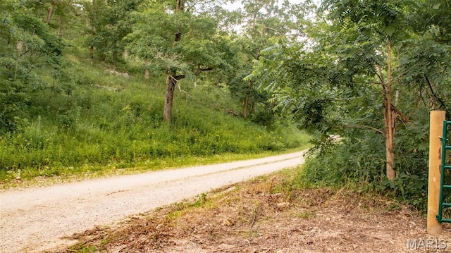 TBD37.42AC Broads Branch Rd, Macks Creek, MO 65786