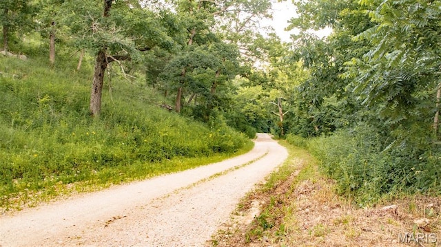 TBD37.42AC Broads Branch Rd, Macks Creek, MO 65786