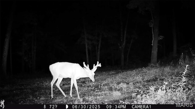 TBD37.42AC Broads Branch Rd, Macks Creek, MO 65786