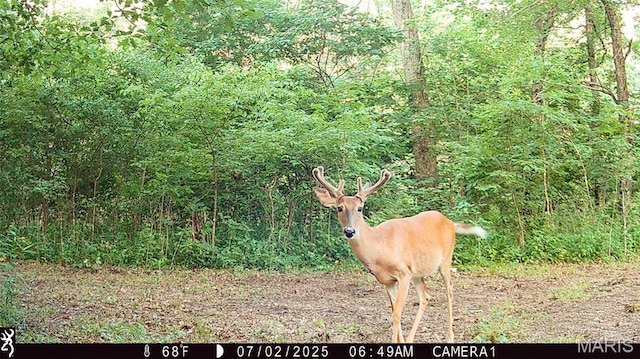 TBD37.42AC Broads Branch Rd, Macks Creek, MO 65786