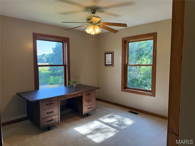 6400 Mcre Ln, Carlinville, IL 62626 - photo 47