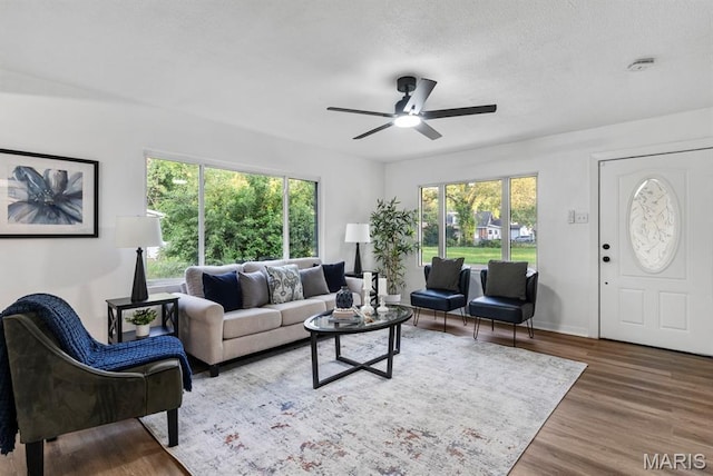 911 Cordova St, Saint Ferdinand Township, MO 63138 - living room with a ceiling fan, healthy amount of natural light, wood finished floors, and a textured ceiling