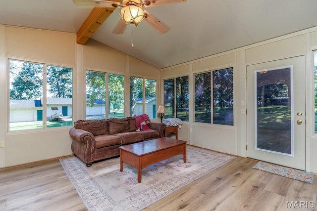 20150 SW Oakwood Dr, Lebanon, MO 65536 - photo 7