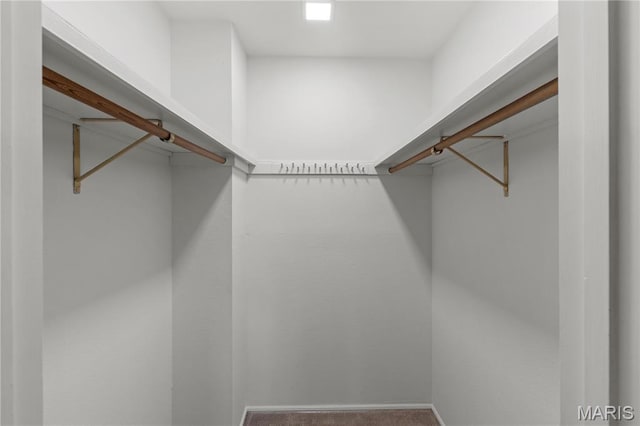 502 Lalor Dr, Manchester, MO 63011 - view of walk in closet