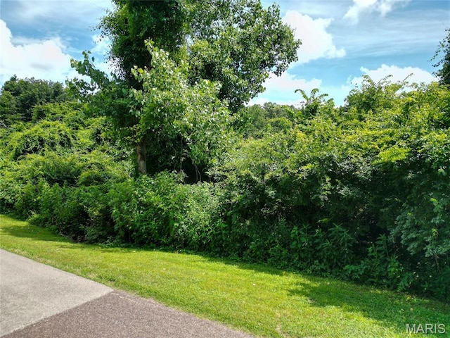 1960 Sugar Springs Rd, Festus, MO 63028 - photo 2