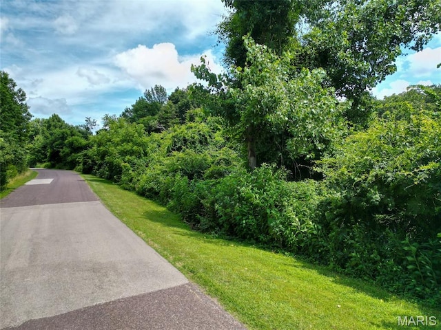 1960 Sugar Springs Rd, Festus, MO 63028 - photo 3