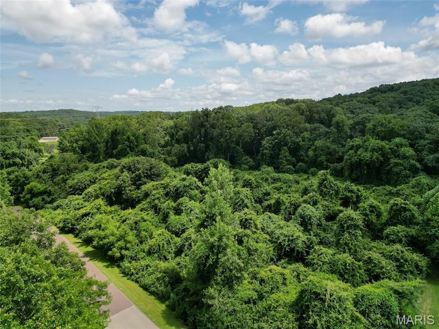 1960 Sugar Springs Rd, Festus, MO 63028 - photo 4