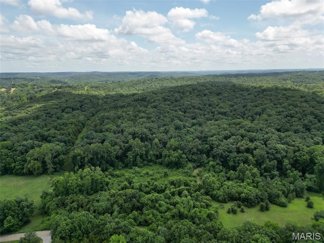 1960 Sugar Springs Rd, Festus, MO 63028 - photo 6