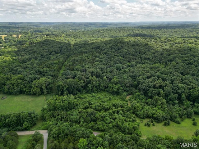 1960 Sugar Springs Rd, Festus, MO 63028 - photo 7