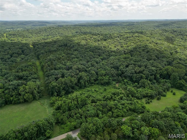 1960 Sugar Springs Rd, Festus, MO 63028 - photo 8