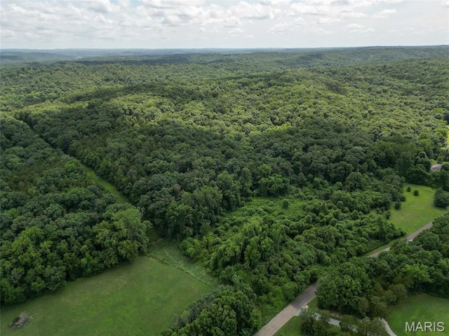 1960 Sugar Springs Rd, Festus, MO 63028 - photo 9