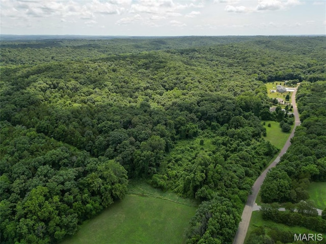 1960 Sugar Springs Rd, Festus, MO 63028 - photo 10
