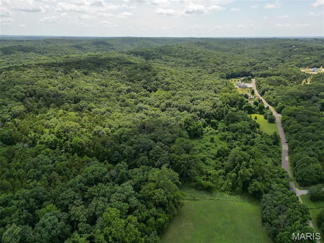 1960 Sugar Springs Rd, Festus, MO 63028 - photo 11