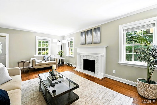 8049 Gannon Ave, Saint Louis, MO 63130 - living room with crown molding, wood finished floors, and a fireplace with raised hearth