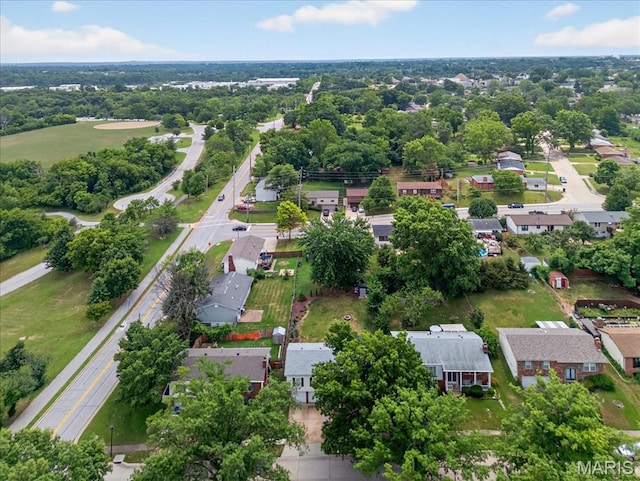 10708 Lisa Marie Ct, Saint Louis, MO 63123 - photo 37