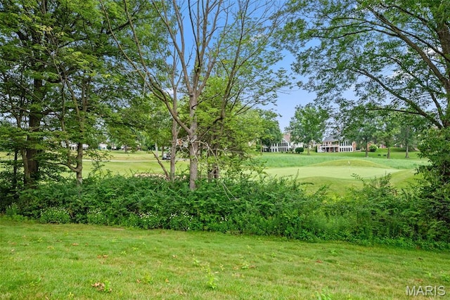 113 Glendalough Ln, Weldon Spring, MO 63304 - photo 63