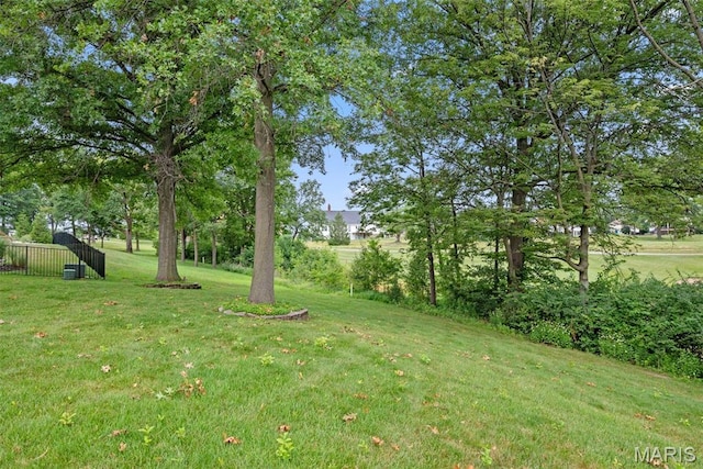113 Glendalough Ln, Weldon Spring, MO 63304 - photo 64