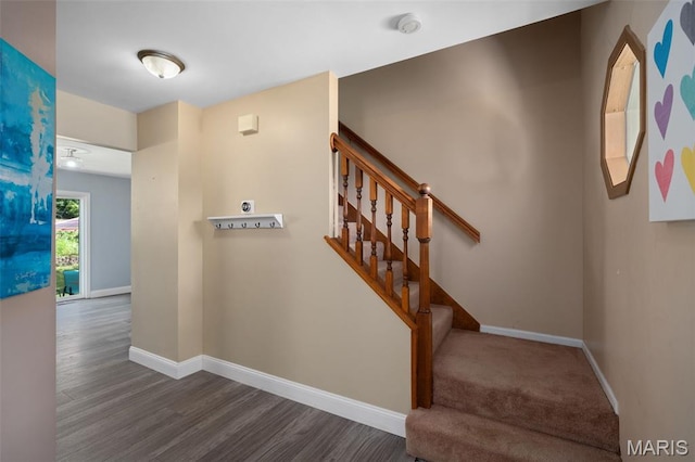 269 Sassafras Parc Dr, Ofallon, MO 63368 - staircase with wood finished floors