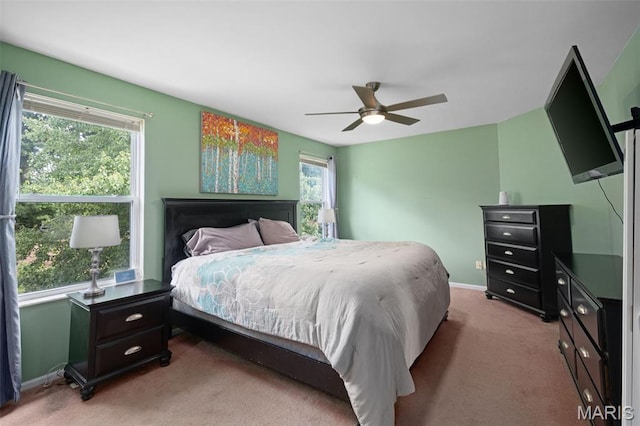 269 Sassafras Parc Dr, Ofallon, MO 63368 - bedroom featuring carpet flooring, multiple windows, and a ceiling fan