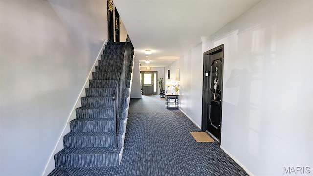 1669 Mayenne Ct Unit B, Mehlville, MO 63125 - stairway featuring carpet floors and baseboards