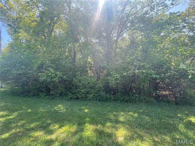 2016 Las Brisas, Pacific, MO 63069 - photo 7