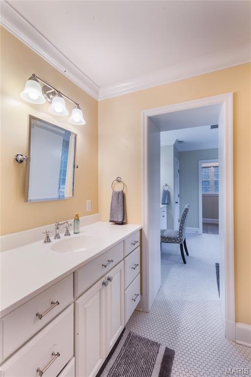 220 Orrick Ln, Kirkwood, MO 63122 - bathroom with ornamental molding and vanity