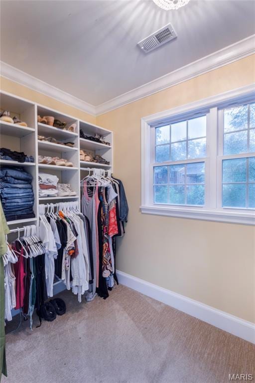 220 Orrick Ln, Kirkwood, MO 63122 - walk in closet with carpet flooring