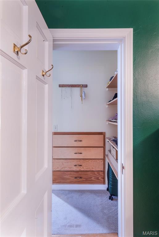 220 Orrick Ln, Kirkwood, MO 63122 - spacious closet featuring carpet flooring