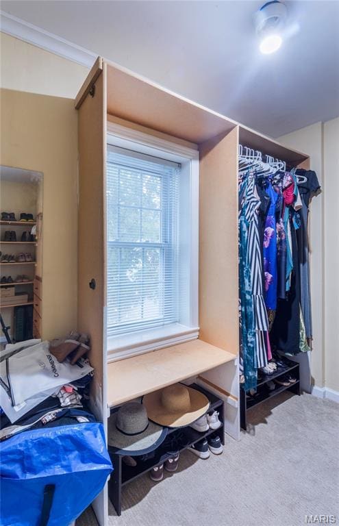 220 Orrick Ln, Kirkwood, MO 63122 - mudroom with carpet flooring