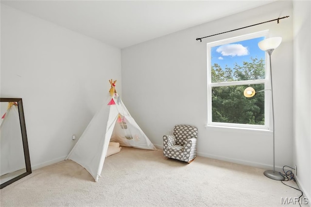 118 Village Glen Ct, Wentzville, MO 63385 - photo 29