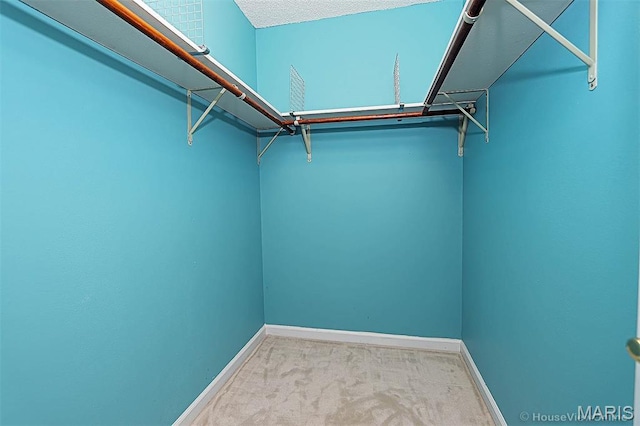 643 Woodgate St, Farmington, MO 63640 - spacious closet featuring carpet flooring