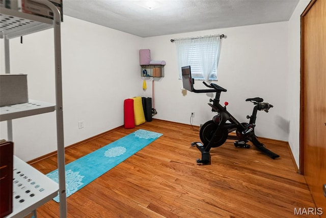 328 S Windmill St, Marine, IL 62061 - exercise room featuring wood finished floors and baseboards