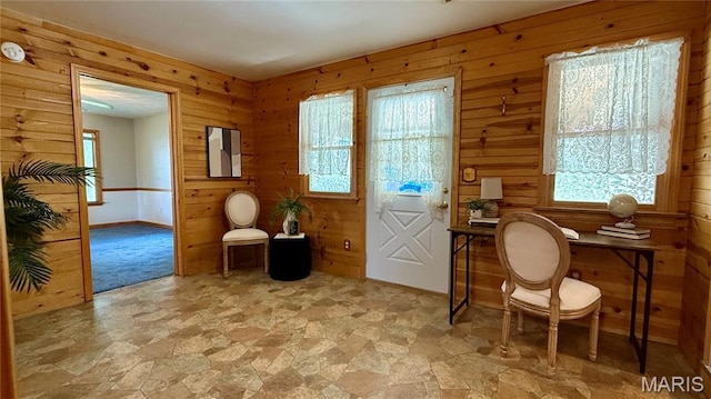 504 N Moore St, Waterloo, IL 62298 - living area featuring light stone finish flooring, plenty of natural light, and wood walls
