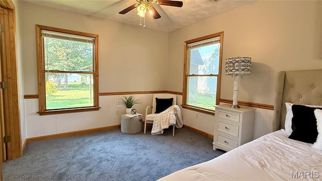 504 N Moore St, Waterloo, IL 62298 - bedroom featuring multiple windows, carpet flooring, wainscoting, and a ceiling fan