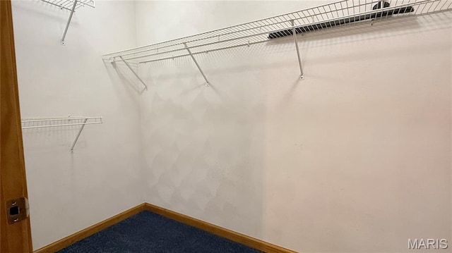 504 N Moore St, Waterloo, IL 62298 - view of spacious closet