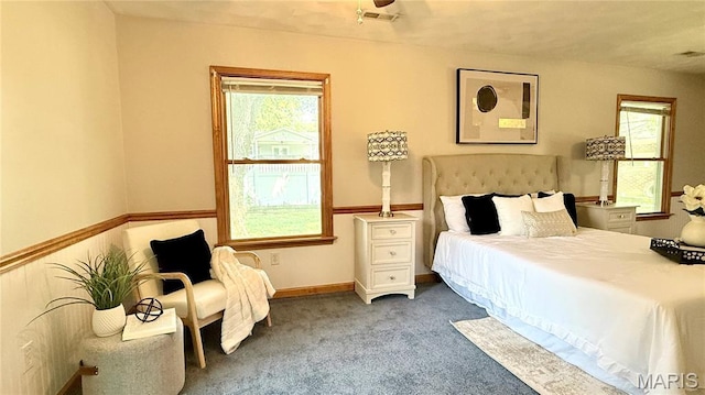 504 N Moore St, Waterloo, IL 62298 - bedroom with carpet and multiple windows