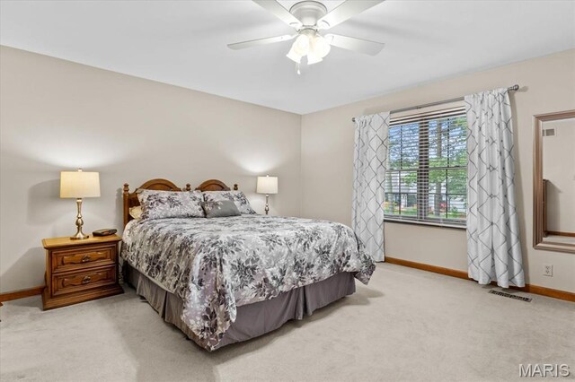 124 Sagebrush Dr, Belleville, IL 62221 - photo 23