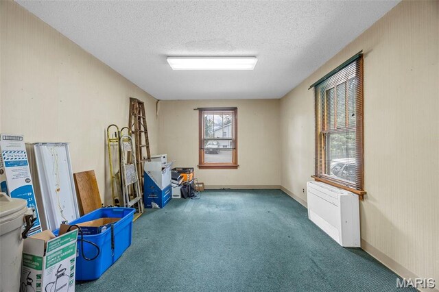 423 Woodlawn Ave, Ofallon, MO 63366 - photo 16