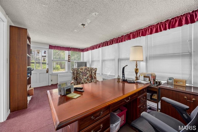 423 Woodlawn Ave, Ofallon, MO 63366 - photo 40