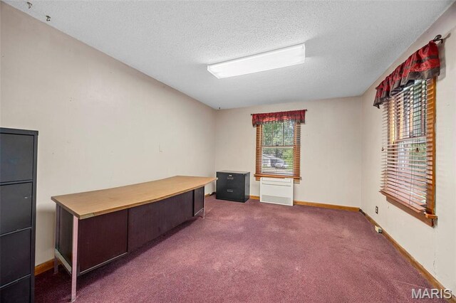 423 Woodlawn Ave, Ofallon, MO 63366 - photo 41