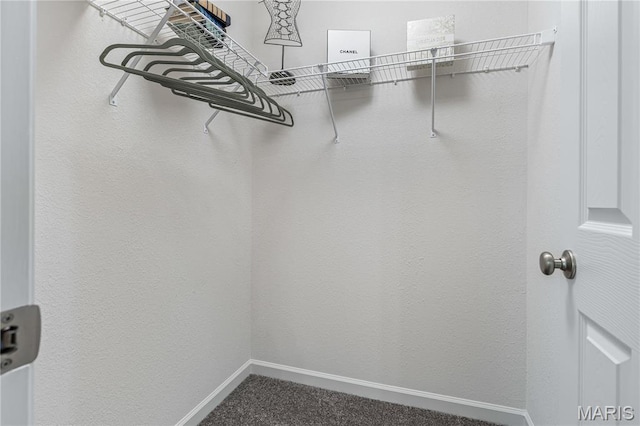 1941 Magnolia Way, Pevely, MO 63070 - walk in closet with carpet