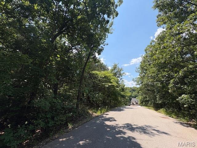 01 Camptown Trce, Hillsboro, MO 63050 - photo 1