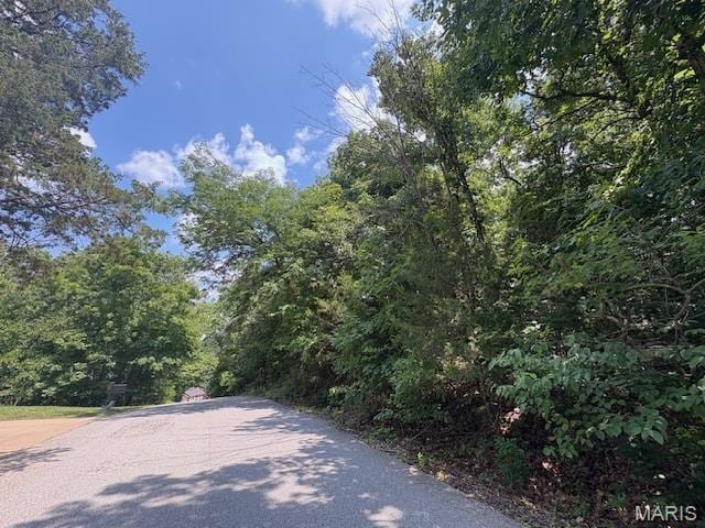 01 Camptown Trce, Hillsboro, MO 63050 - photo 2