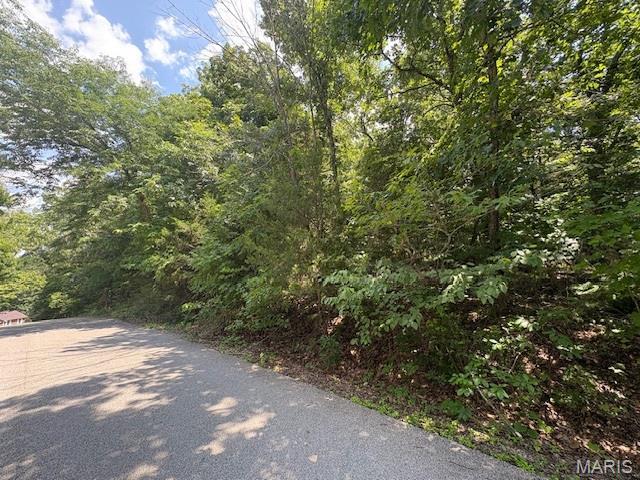 01 Camptown Trce, Hillsboro, MO 63050 - photo 3