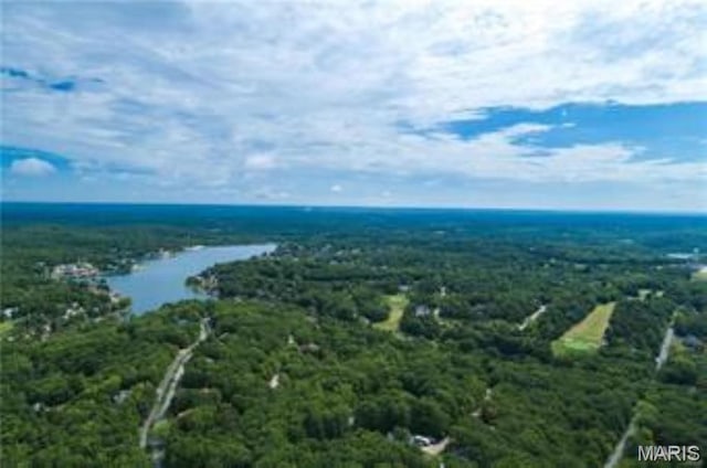 01 Camptown Trce, Hillsboro, MO 63050 - photo 28