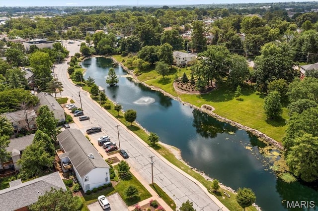 9053 W Swan Cir, Brentwood, MO 63144 - bird's eye view of a nearby body of water