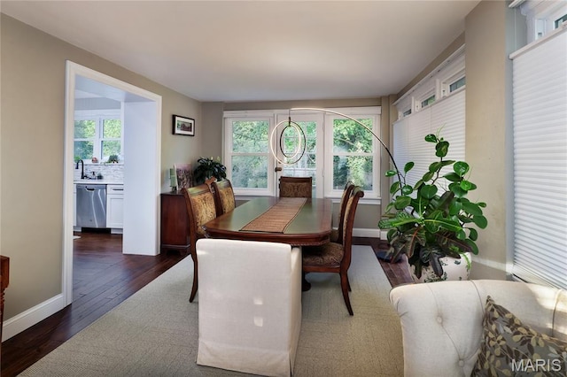 728 Yale Ave, Saint Louis, MO 63130 - dining room with plenty of natural light and dark wood-type flooring
