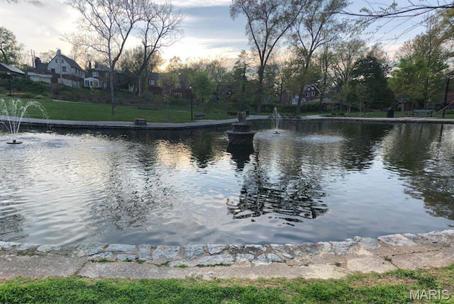 728 Yale Ave, Saint Louis, MO 63130 - water view