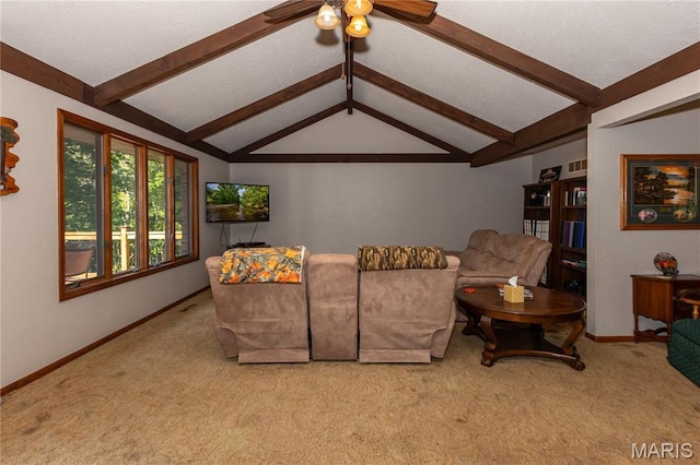 776 Big Buffalo Rd, Mo, MO 65078 - photo 5