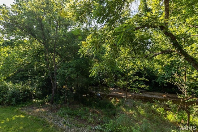 776 Big Buffalo Rd, Mo, MO 65078 - photo 30